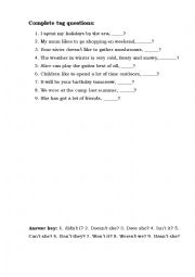 English Worksheet: Tag questions practice sheet