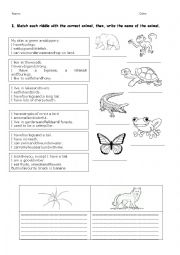 English Worksheet: Animal riddles