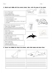 English Worksheet: Animal riddles 2