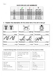 English Worksheet: Have got and insects