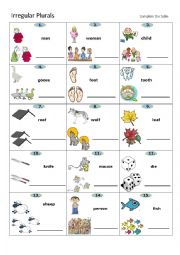 English Worksheet: Irregular Plurals 2