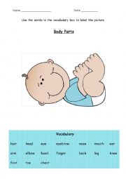 English Worksheet: Body Parts - label the baby