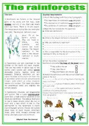 English Worksheet: The Rainforests