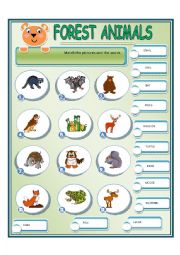 English Worksheet: FOREST ANIMALS