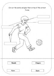 English Worksheet: Parts of the body