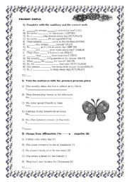 English Worksheet: Present Simple Test