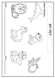 English Worksheet: My pets