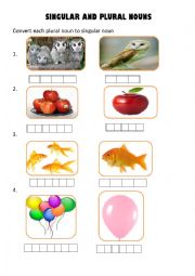 English Worksheet: English Grammar singular and Plural