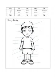 English Worksheet: body parts