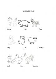 English Worksheet: Farm Animals