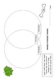 English Worksheet: Carnivore, Herbivore or Omnivore