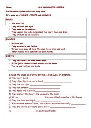 English Worksheet: Bones, muscles or joints