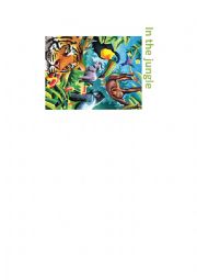 In the jungle - the book for young kids