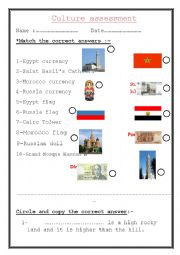 English Worksheet: culture assessment