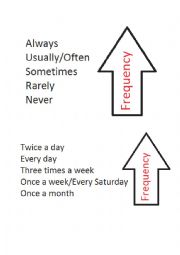 Frequency adverbs and expressions