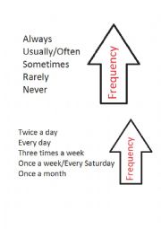 English Worksheet: Frequency adverbs and expressions