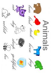 Animals