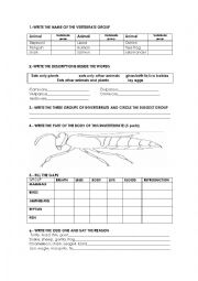 English Worksheet: vertebrates and invertebrates