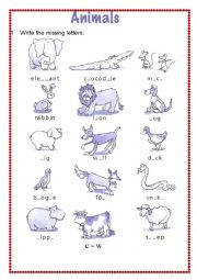 English Worksheet: animals