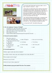 English Worksheet: READING Teacup pigs