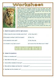 English Worksheet:  The cheetah is a fantastic animal. 