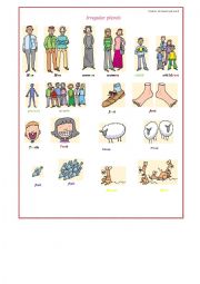 English Worksheet: irregular plurals