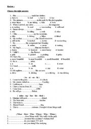 English Worksheet: review