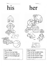 English Worksheet: His/her