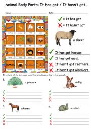 English Worksheet: Animal Body Parts: It has got, It hasnt got