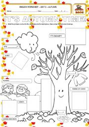 English Worksheet: Its Autumn time!