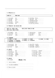 English Worksheet: plural