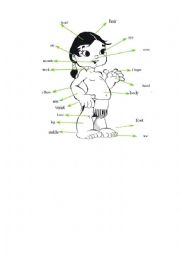 English Worksheet: parts of body