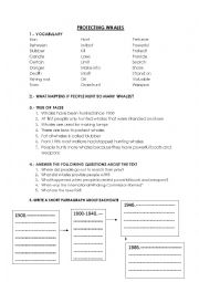 English Worksheet: amco 5th grade