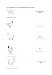 English Worksheet: Farm Animal