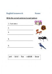 Animals, write the correct sentence. 