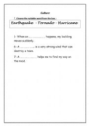 English Worksheet: natural disasters