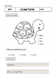 English Worksheet: Turtle coloring according to long vowel sounds