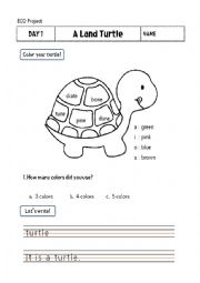 Turtle coloring according to long vowel sounds