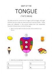 MAP OF THE TONGUE. TASTE AREAS. WORKSHEET