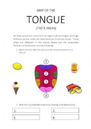 English Worksheet: MAP OF THE TONGUE. TASTE AREAS. WORKSHEET