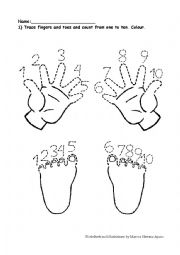 English Worksheet: Fingers and Toes Trace and Count