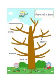 English Worksheet: parts of tree