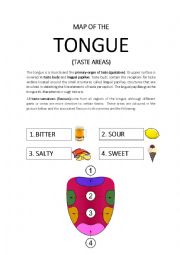 English Worksheet: MAP OF THE TONGUE. TASTE AREAS