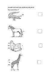 English Worksheet: writing
