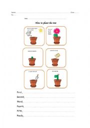 English Worksheet: How to plant the tree