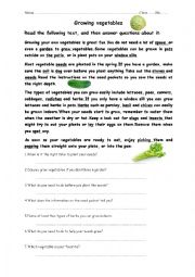 English Worksheet: reading comprehension