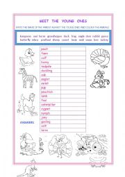 English Worksheet: MEET THE YOUNG ONES 