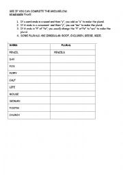 English Worksheet: Make the plural