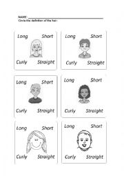 English Worksheet: Types of hair