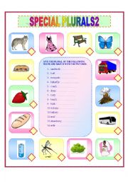 English Worksheet: SPECIAL PLURALS 2